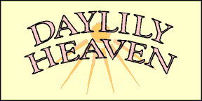 Daylily Heaven